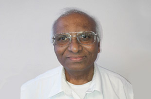 Ramanikbhai L Patel